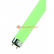L36/66  G13 D26mm 1200mm (зеленая)  -  цветная лампа