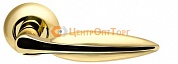 Ручка раздельная Armadillo (Армадилло) Lacerta LD58-1SG/GP-4 матовое золото/золото