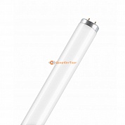 L40/640 SA  G13 D38mm 1200mm (холодный белый 4000 K) - лампа