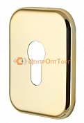 Декоративная Квадратная Armadillo (Армадилло) накладка на цилиндр ET-DEC SQ (ATC Protector 1) GP-2 Золото