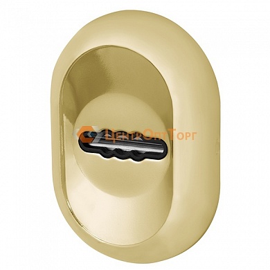 Накладка под Fuaro (Фуаро) сувальдный ключ ESC-13S с автоматическими шторками GP-золото (2шт. в уп.,отгр. по 1 шт)